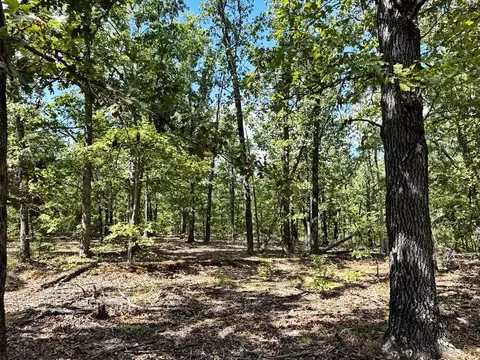 000 SE 1200 Rd, Collins, MO 64738 photo 19