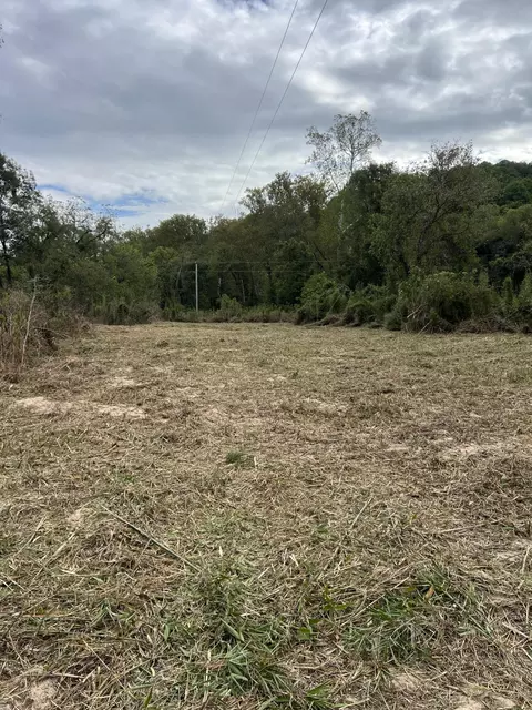 Other - 838 Alpha Dr, Brixey, MO 65618 photo 13 of 20