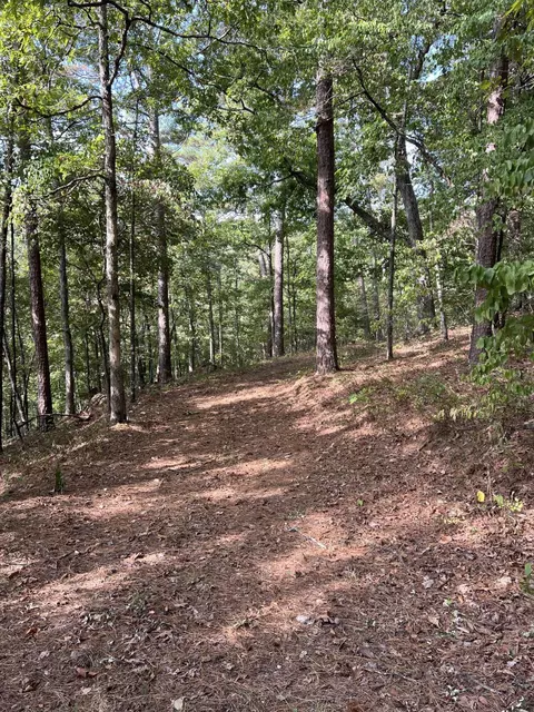 Other - 838 Alpha Dr, Brixey, MO 65618 photo 10 of 20