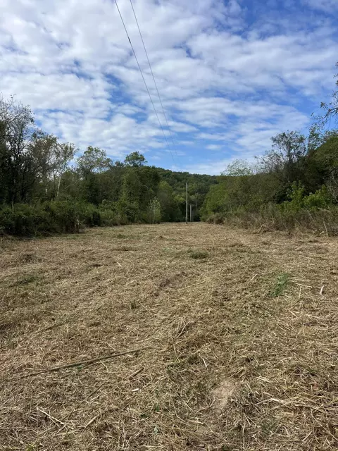 Other - 838 Alpha Dr, Brixey, MO 65618 photo 15 of 20