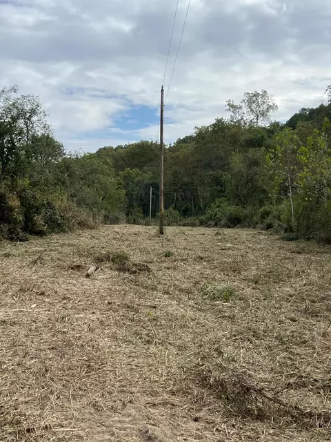 Other - 838 Alpha Dr, Brixey, MO 65618 photo 12 of 20