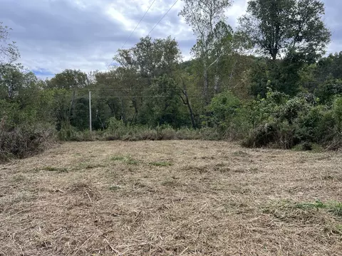 Exterior - 838 Alpha Dr, Brixey, MO 65618 photo 3 of 4