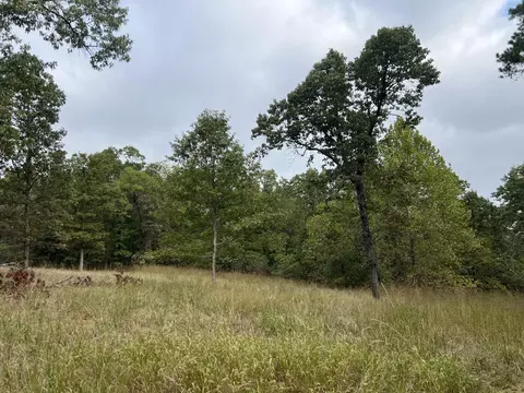 Exterior - 838 Alpha Dr, Brixey, MO 65618 photo 1 of 4