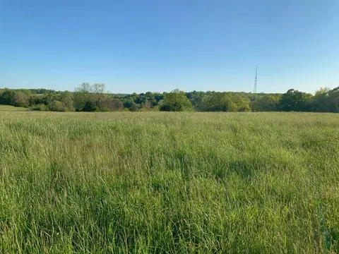 5875 N Currie Ln, Springfield, MO 65803 photo 3