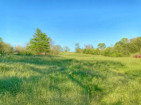 5875 N Currie Ln, Springfield, MO 65803 photo 5
