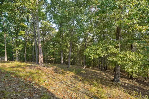 Exterior - 292 Canopy Dr, Spokane, MO 65754 photo 6 of 8
