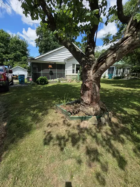 Exterior - 1125 S Main Ave, Springfield, MO 65807 photo 10 of 11
