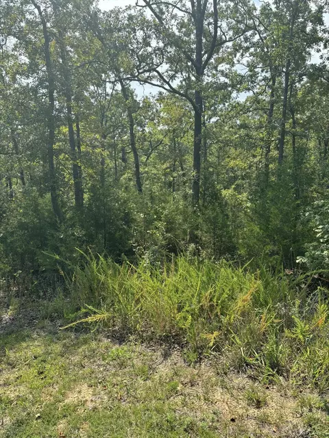 lot Apt 3 Fox Hollow Rd, Branson West, MO 65737