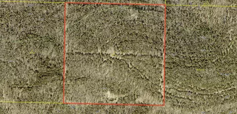 000 State Highway Uu Rd, Chadwick, MO 65629 photo 3