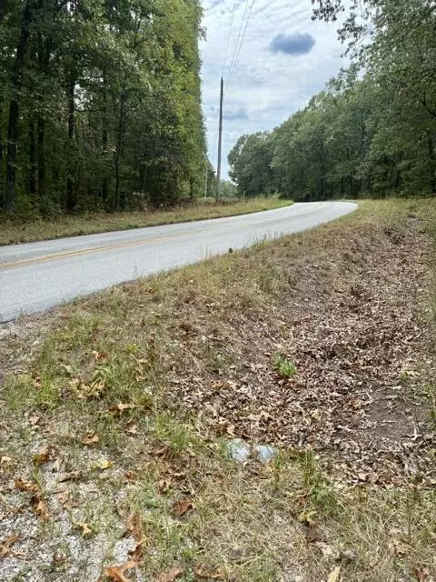 000 State Highway Uu Rd, Chadwick, MO 65629 photo 5