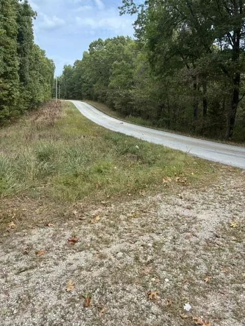 000 State Highway Uu Rd, Chadwick, MO 65629 photo 4