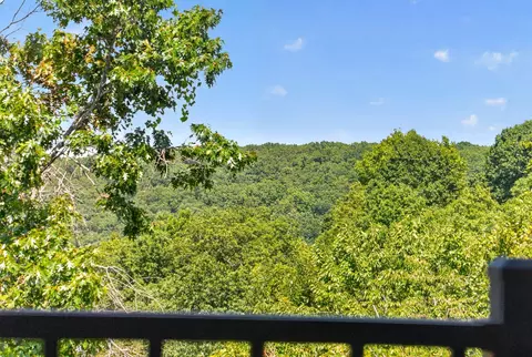 Other - 346 Sunset Dr, Saddlebrooke, MO 65630 photo 5 of 7