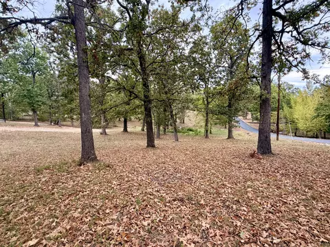 000 N Maple St, Blue Eye, MO 65611 photo 2