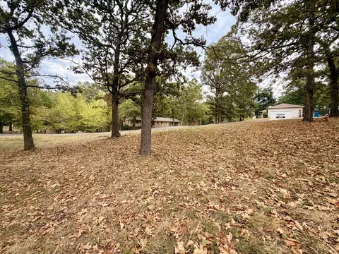 000 N Maple St, Blue Eye, MO 65611 photo 5