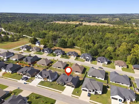 View/Area - 1505 E Silo Ridge Dr, Ozark, MO 65721 photo 6 of 6