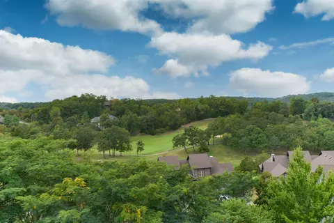 Other - 41 Bunker Dr #2, Branson West, MO 65737 photo 3 of 8