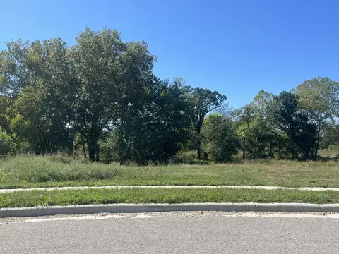 769 S Reaghan Ln, Republic, MO 65738