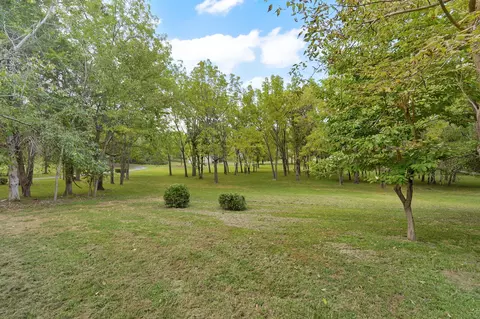 Exterior - 788 Rene Rd, Nixa, MO 65714 photo 33 of 36