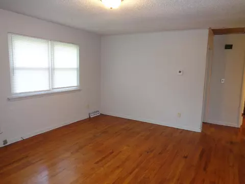 Living - 1200 W Atlantic St, Springfield, MO 65803 photo 4 of 4