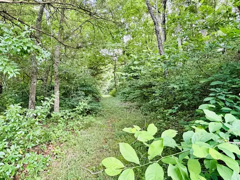 000 Lawrence 1247, Marionville, MO 65705