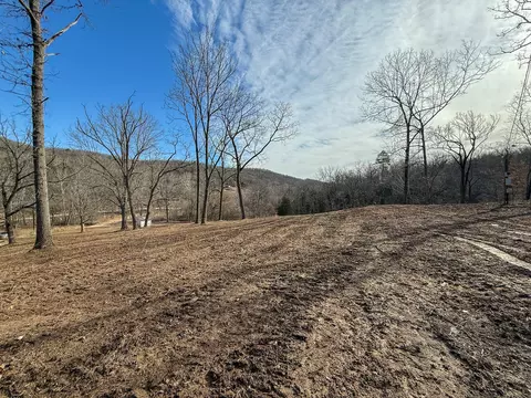 Exterior - tbd W Enon Rd, Omaha, AR 72662 photo 24 of 24