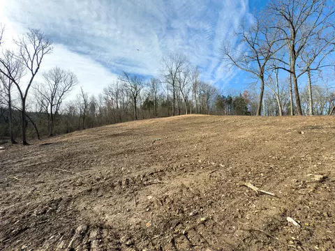 Other - tbd W Enon Rd, Omaha, AR 72662 photo 8 of 8