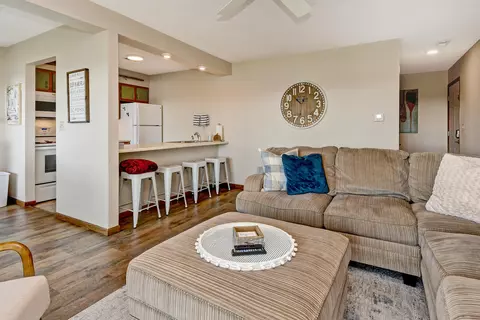 Living - 5 Treehouse Ln # 3, Branson, MO 65616 photo 4 of 5