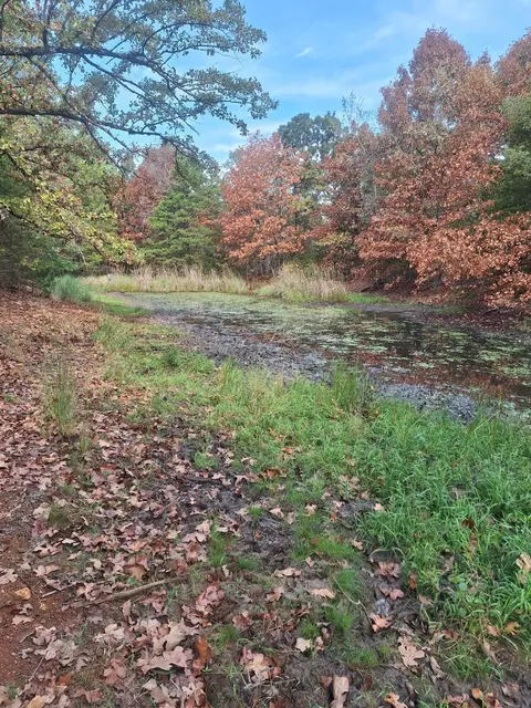 114 Acres Styles Rd, Noel, MO 64854 photo 10