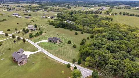 View/Area - 164 Spring Branch Ln, Ozark, MO 65721 photo 3 of 4