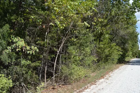 000 Waldon Rdg, Lampe, MO 65681 photo 3