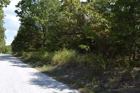 000 Waldon Rdg, Lampe, MO 65681 photo 2