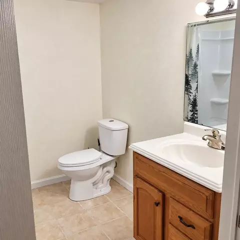 Bath - 305 Meadow Rdg, Branson, MO 65616 photo 3 of 3
