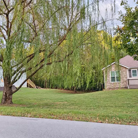 Exterior - 305 Meadow Rdg, Branson, MO 65616 photo 5 of 8