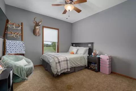 Bedroom - 366 Mount Sinai Rd, Clever, MO 65631 photo 3 of 4
