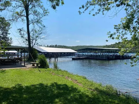 View/Area - 445 Edgewater Beach Cir, Forsyth, MO 65653 photo 3 of 3
