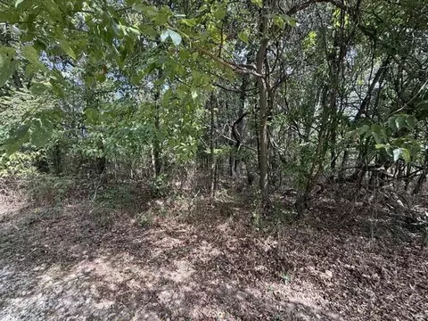 0 Walnut Cir, Flemington, MO 65650 photo 4