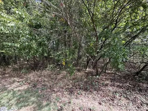 0 Walnut Cir, Flemington, MO 65650 photo 3