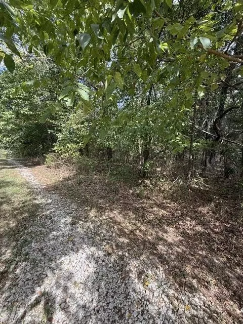 0 Walnut Cir, Flemington, MO 65650 photo 7
