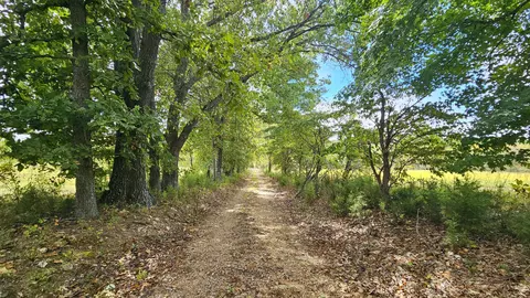 Other - 30349 County Road V-234, Drury, MO 65638 photo 4 of 17
