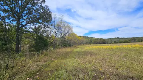 Other - 30349 County Road V-234, Drury, MO 65638 photo 3 of 17
