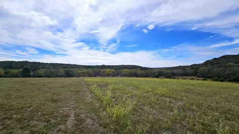 Other - 30349 County Road V-234, Drury, MO 65638 photo 16 of 17