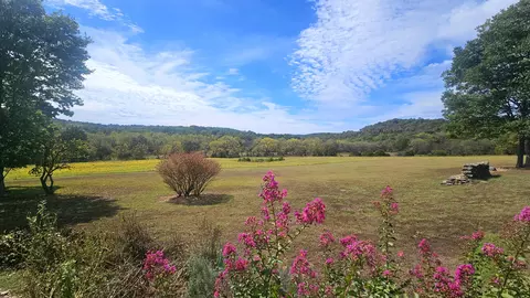 Other - 30349 County Road V-234, Drury, MO 65638 photo 5 of 17