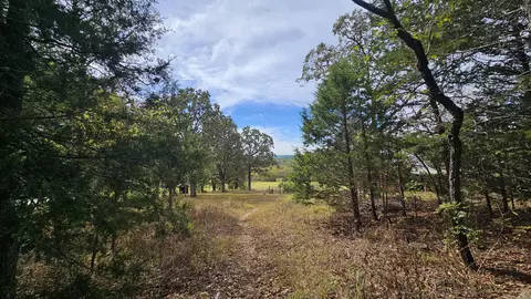 Other - 30349 County Road V-234, Drury, MO 65638 photo 14 of 17