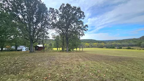 Exterior - 30349 County Road V-234, Drury, MO 65638 photo 18 of 21