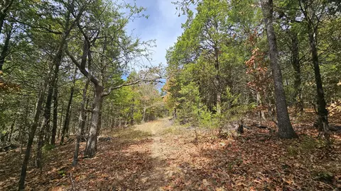 Other - 30349 County Road V-234, Drury, MO 65638 photo 15 of 17