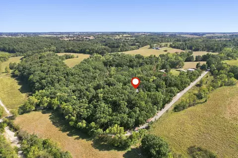 View/Area - 1166 Mills Rd, Ozark, MO 65721 photo 2 of 2