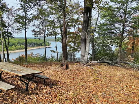 000 Royal Point Dr, Shell Knob, MO 65747 photo 9