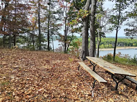 000 Royal Point Dr, Shell Knob, MO 65747 photo 8