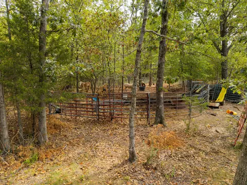 Exterior - 2088 State Highway Jj, Ozark, MO 65721 photo 8 of 9