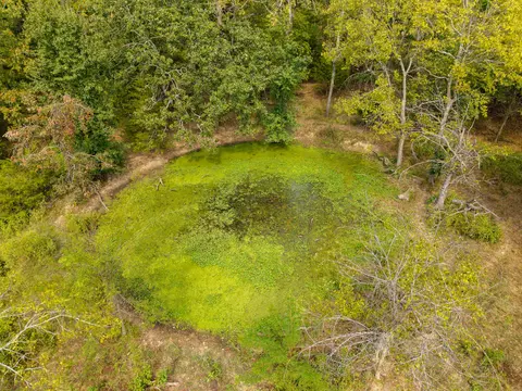 Other - 2088 State Highway Jj, Ozark, MO 65721 photo 9 of 19